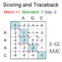 Algorithms and Data Structures in Bioinformatics